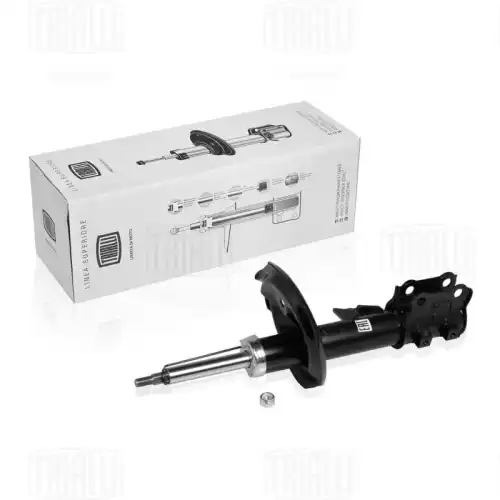 Амортизаторы TRIALLI AG 08155