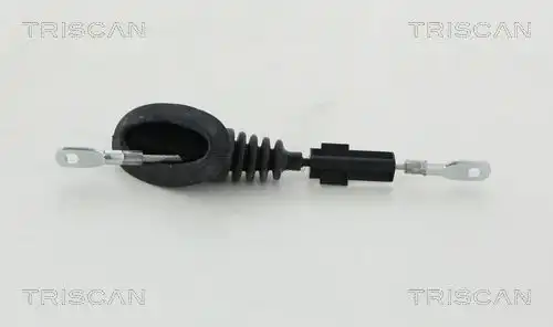 8140291173 деталь TRISCAN 8140291173