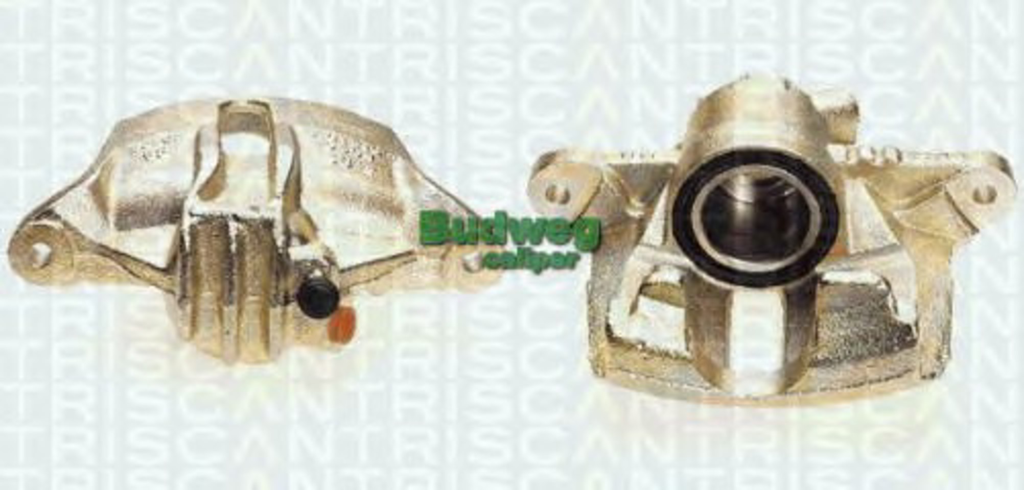 Тормозной суппорт TRISCAN 8170 343193