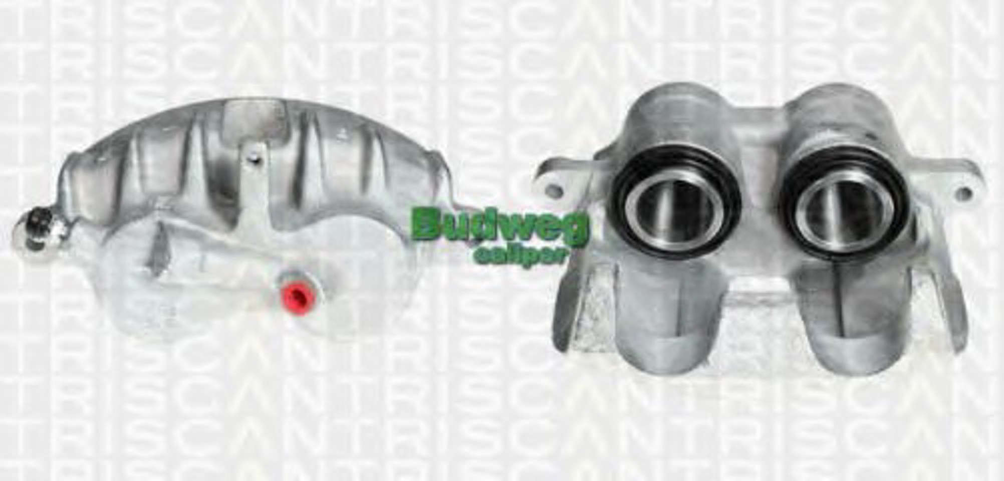 Тормозной суппорт TRISCAN 8170 343505