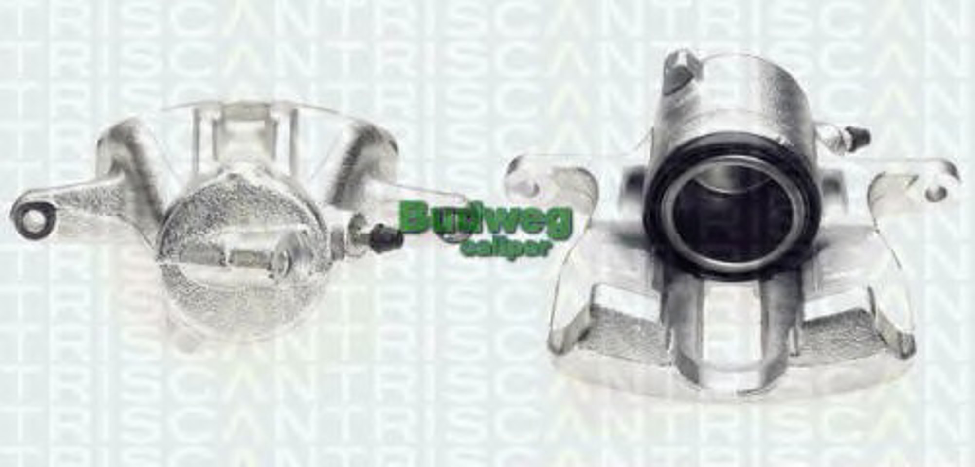 Тормозной суппорт TRISCAN 8170 343513