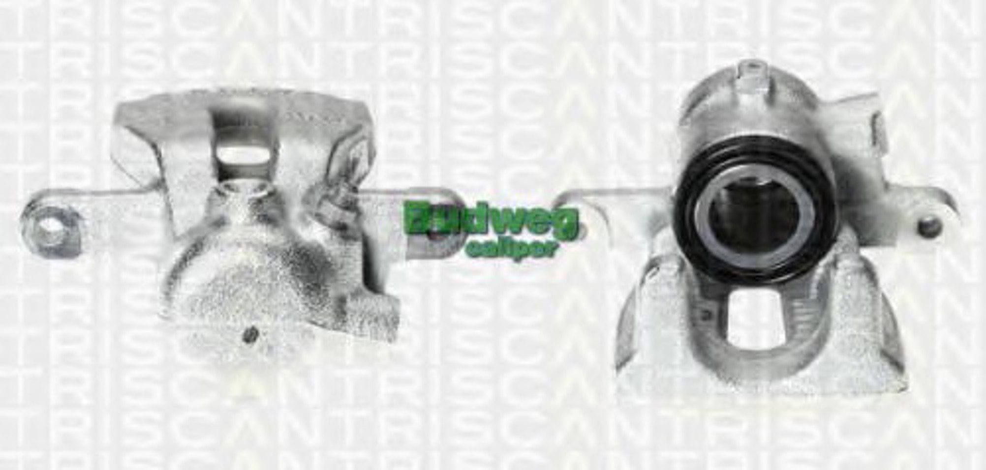 Тормозной суппорт TRISCAN 8170 343874