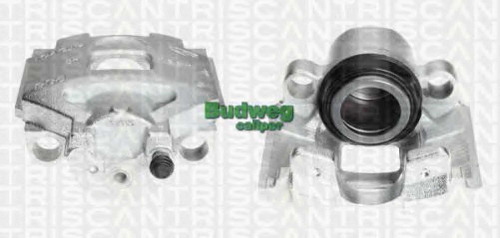 Тормозной суппорт TRISCAN 8170 343907