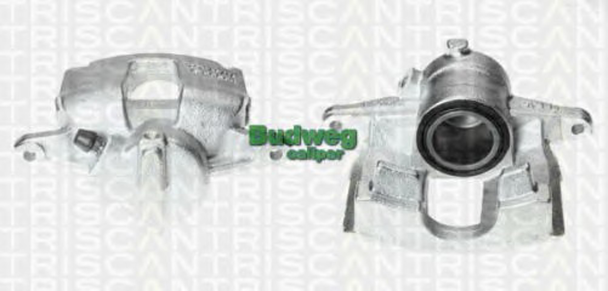 Суппорт тормозной TRISCAN 8170 343918