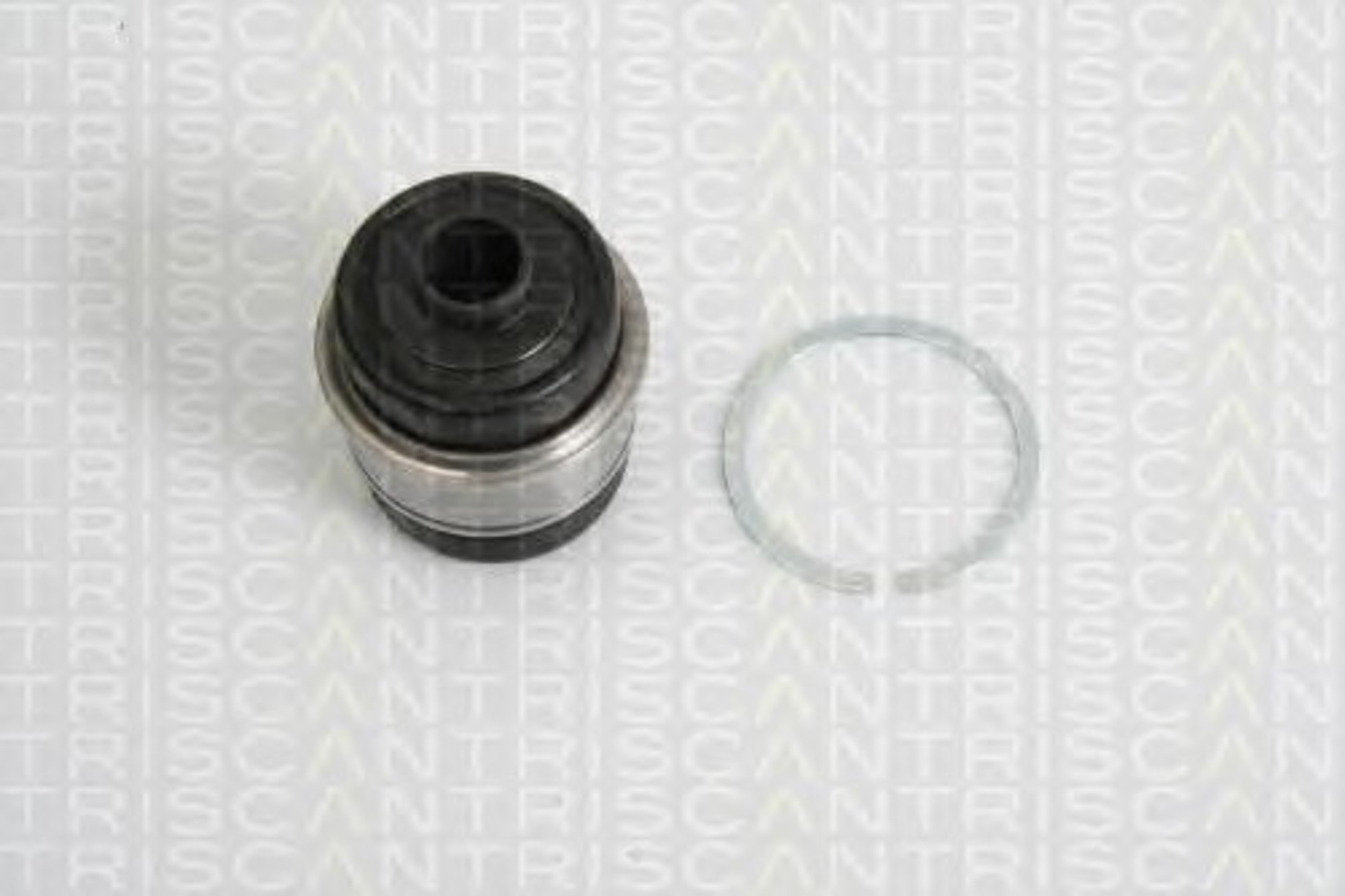 Подвеска корпус колесного подшипника TRISCAN 8500 11842