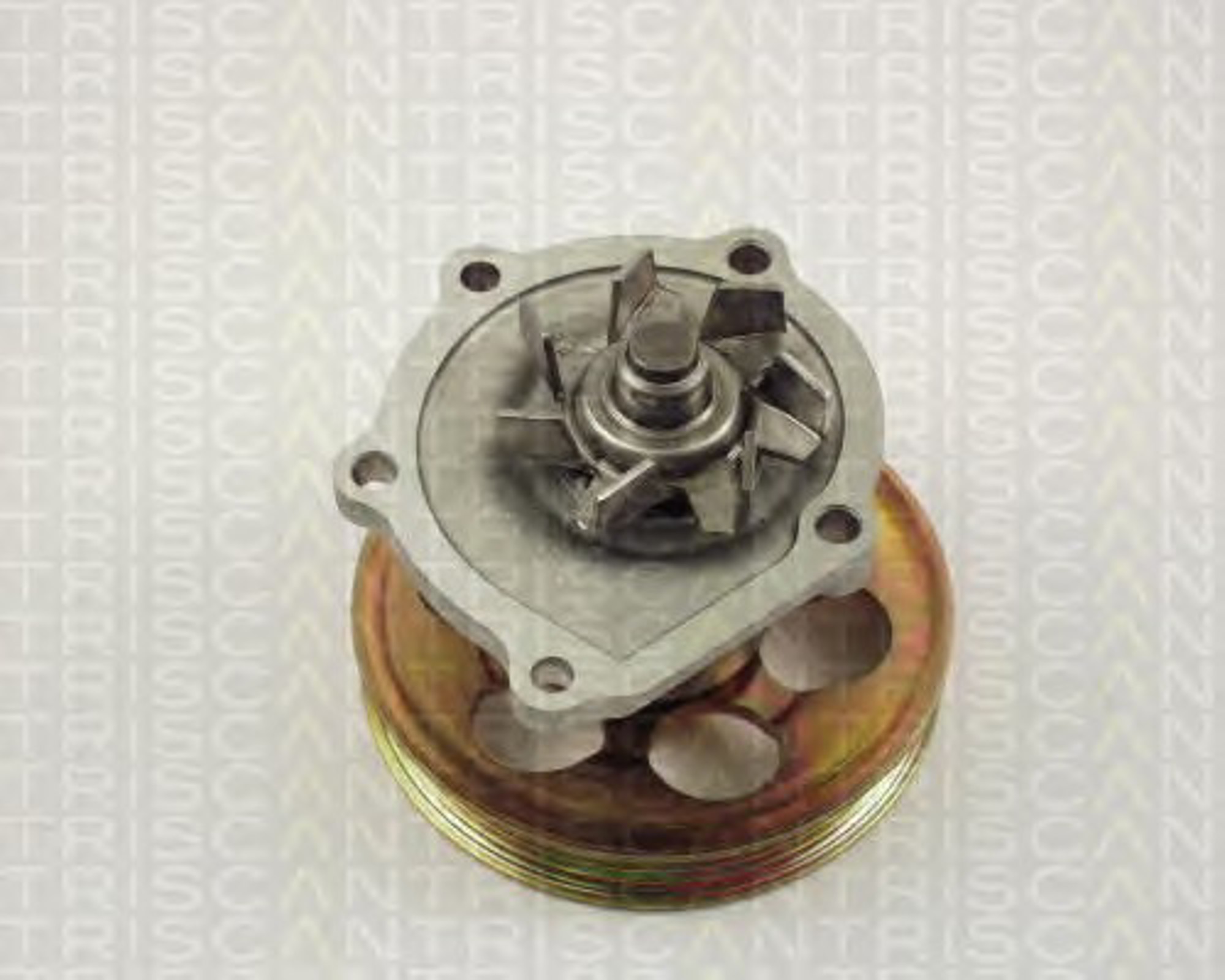 Насос водяной TRISCAN 8600 13010