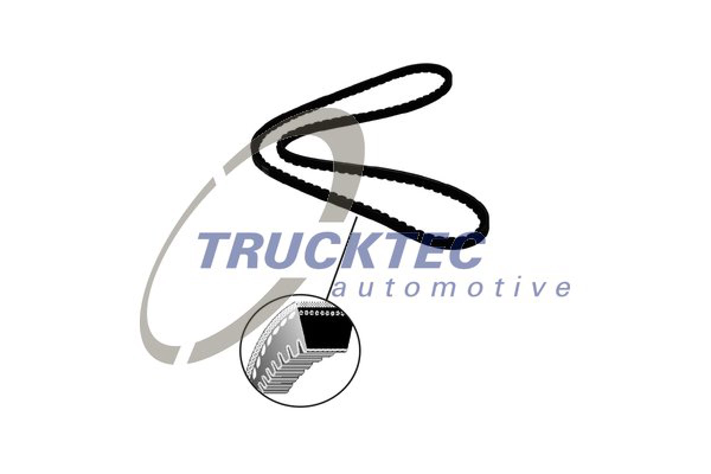 Ремень клиновой TRUCKTEC AUTOMOTIVE 08.19.100
