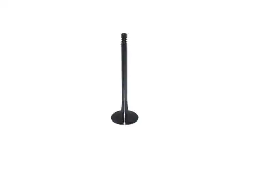Клапан грм VIKA 11091777001