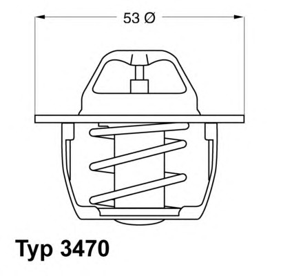 3470.89D50 WAHLER Термостат