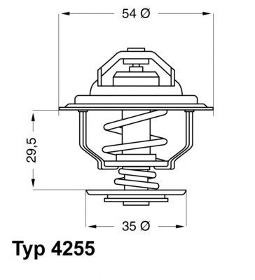 4255.87D WAHLER Термостат