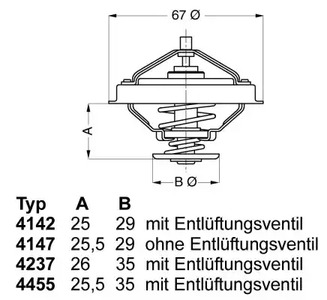 4147.80D WAHLER Термостат