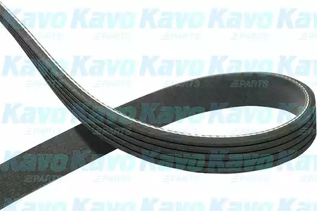 DMV-1008 KAVO PARTS Ремень поликлиновой