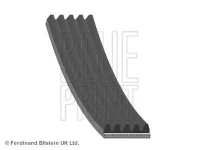 AD05R962 BLUE PRINT Поликлиновой ремень (ручейковый)